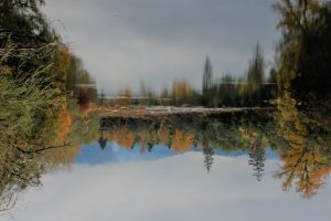 The Upside Down