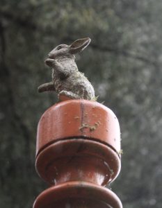 Alice's Bunny
