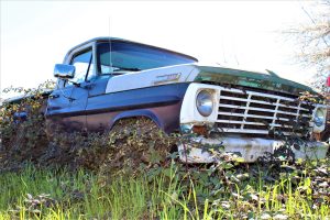 Blackberry Ford