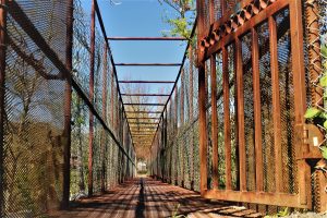 Iron Path