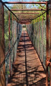 Path