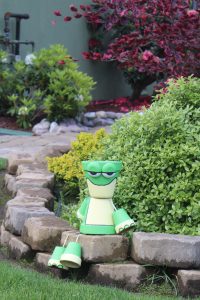 Pot Frog